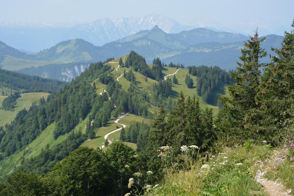 Appart Weisse Urlauben Am Wolfgangsee Sankt Gilgen Exterior foto